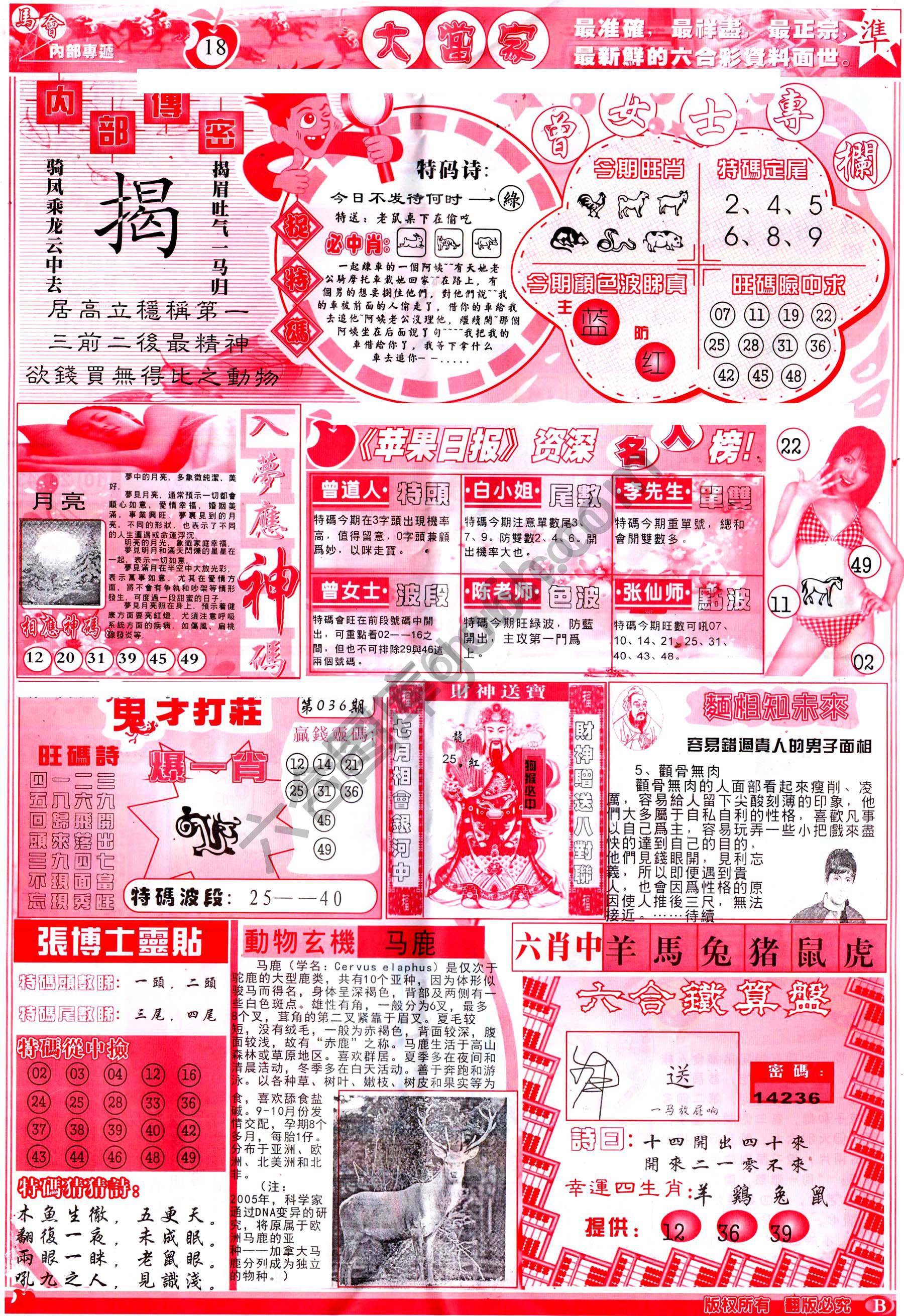 大当家
