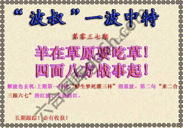波叔一波中特