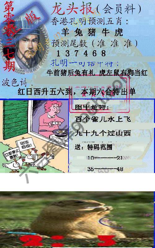 龙头报