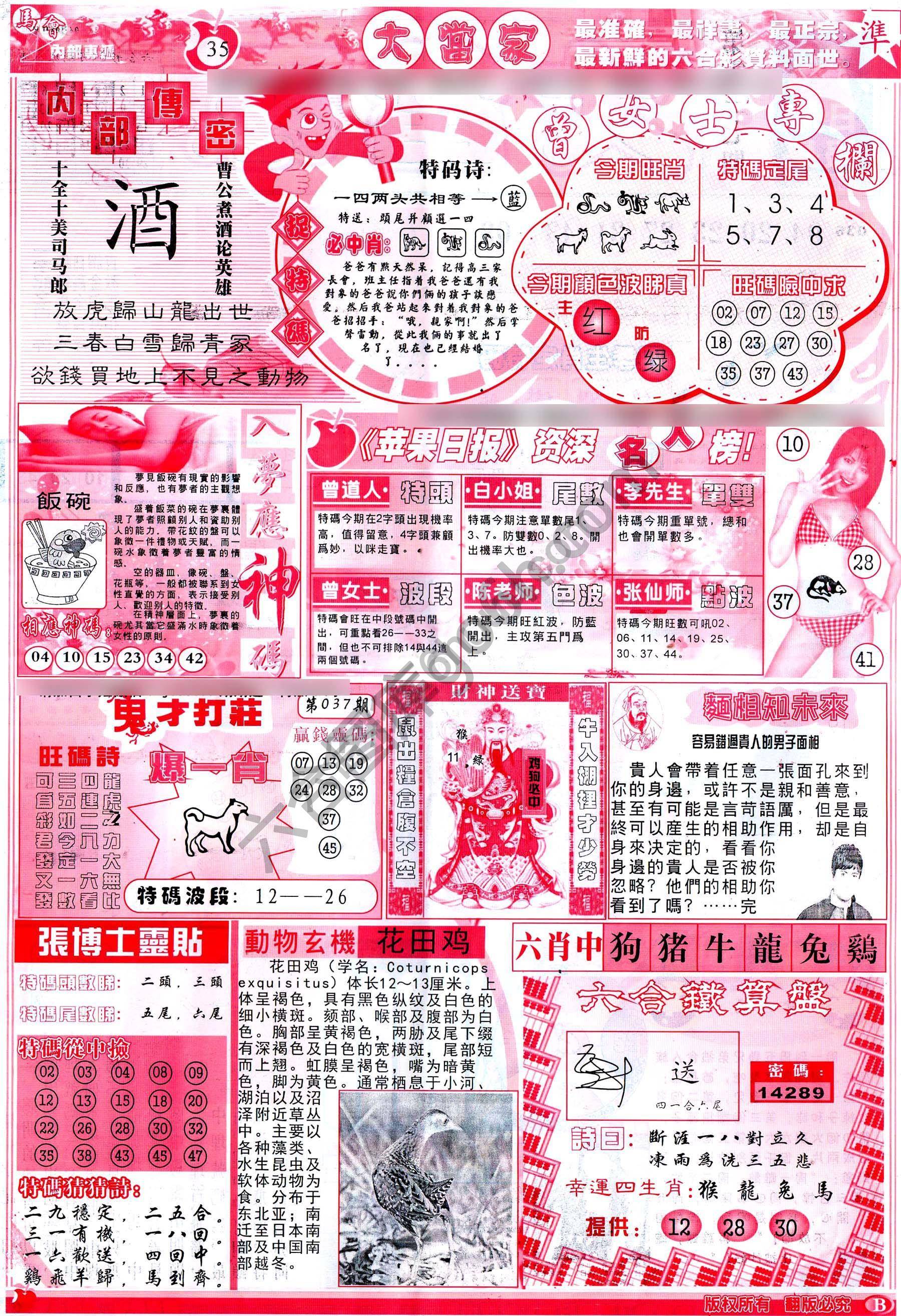 大当家