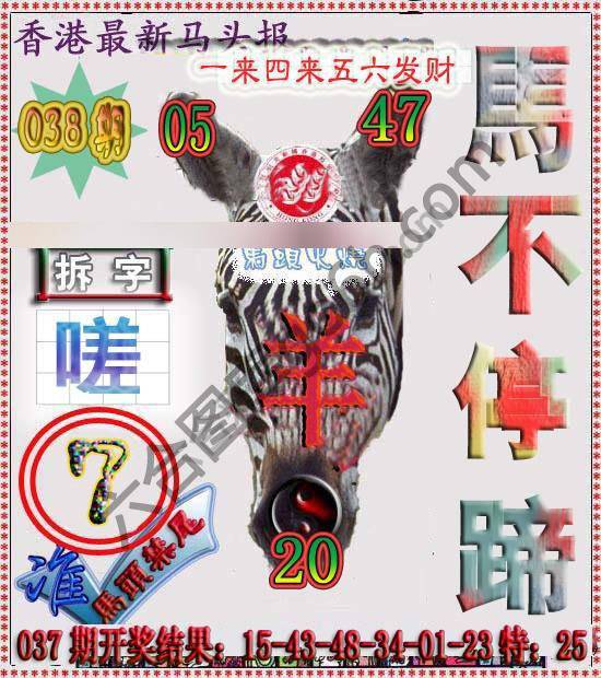 香港马头报