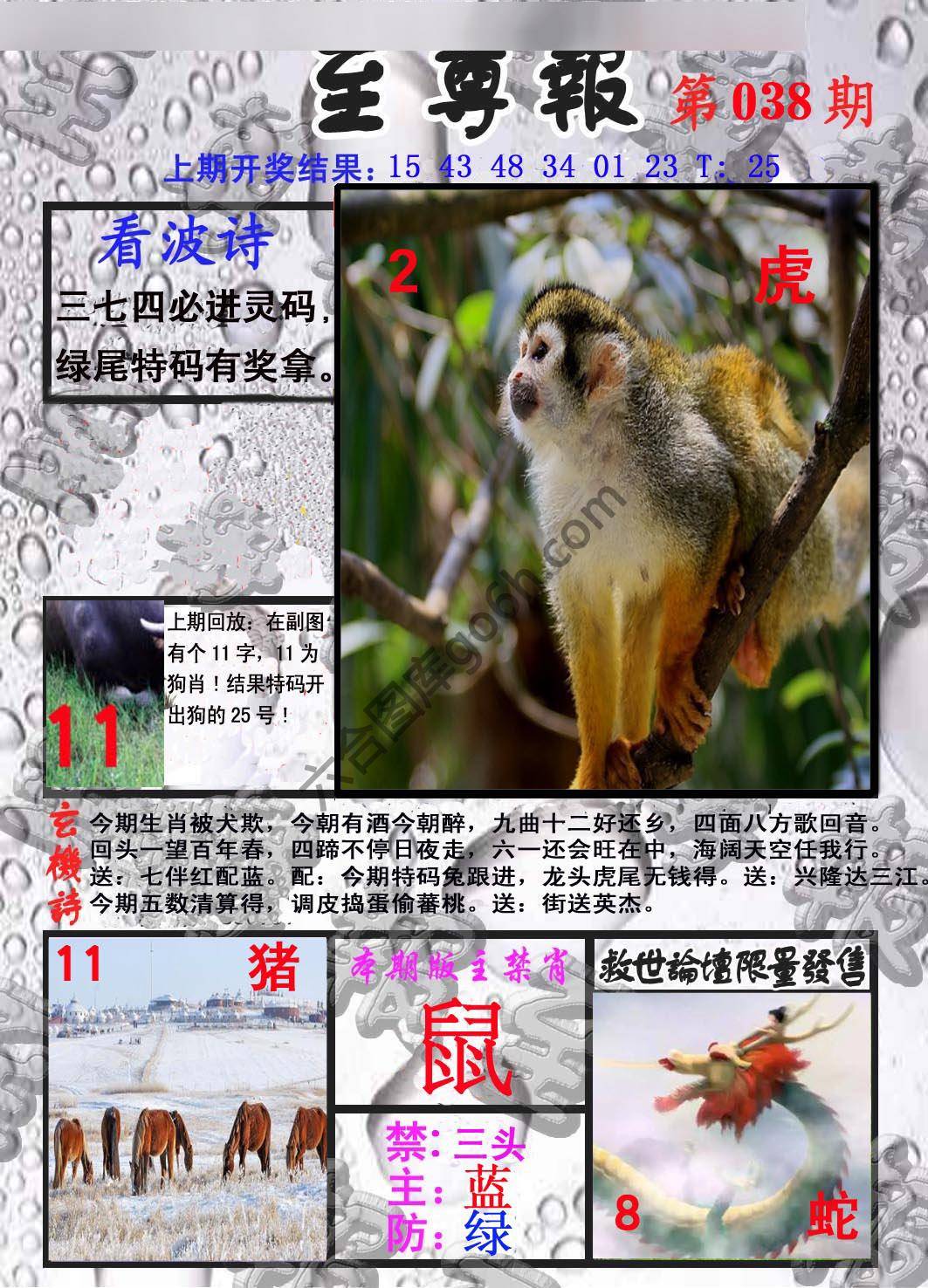 至尊报