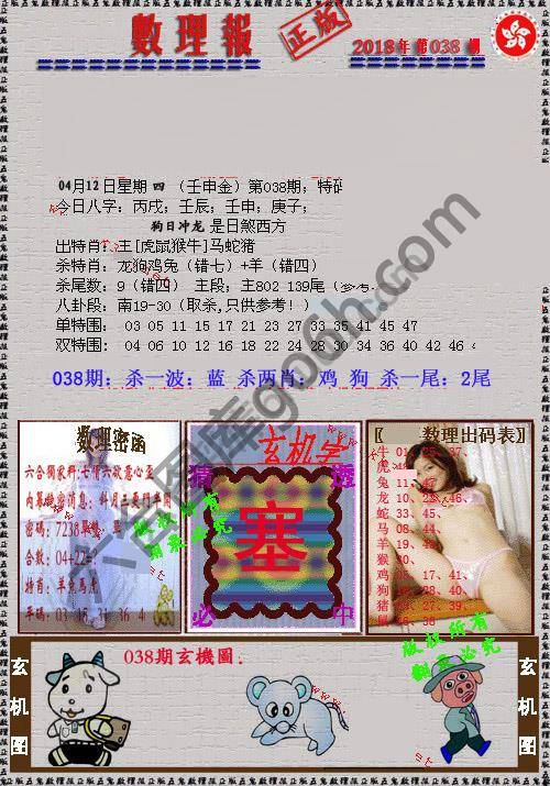 数理报