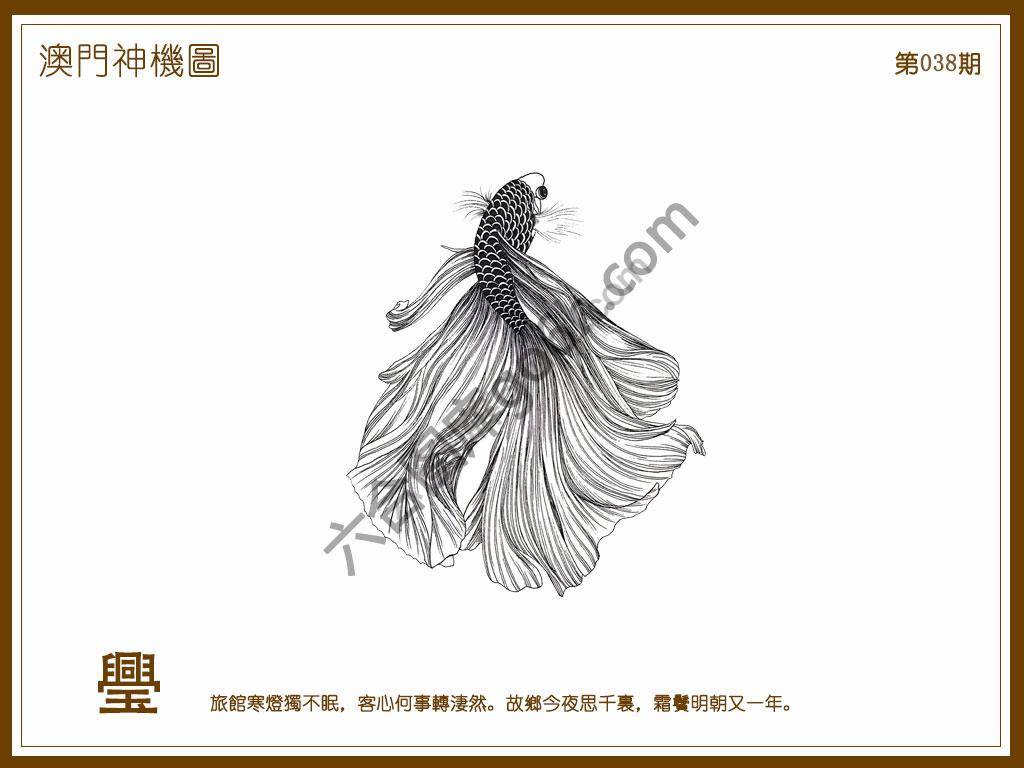 澳门神机图