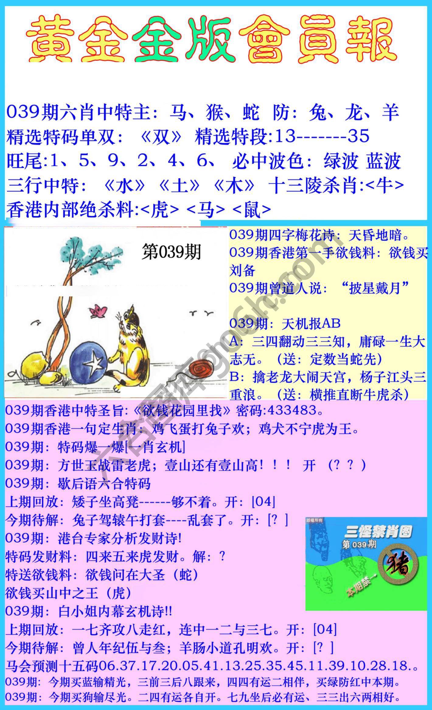 黄金金版会员报