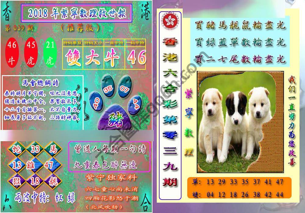 数理救世报