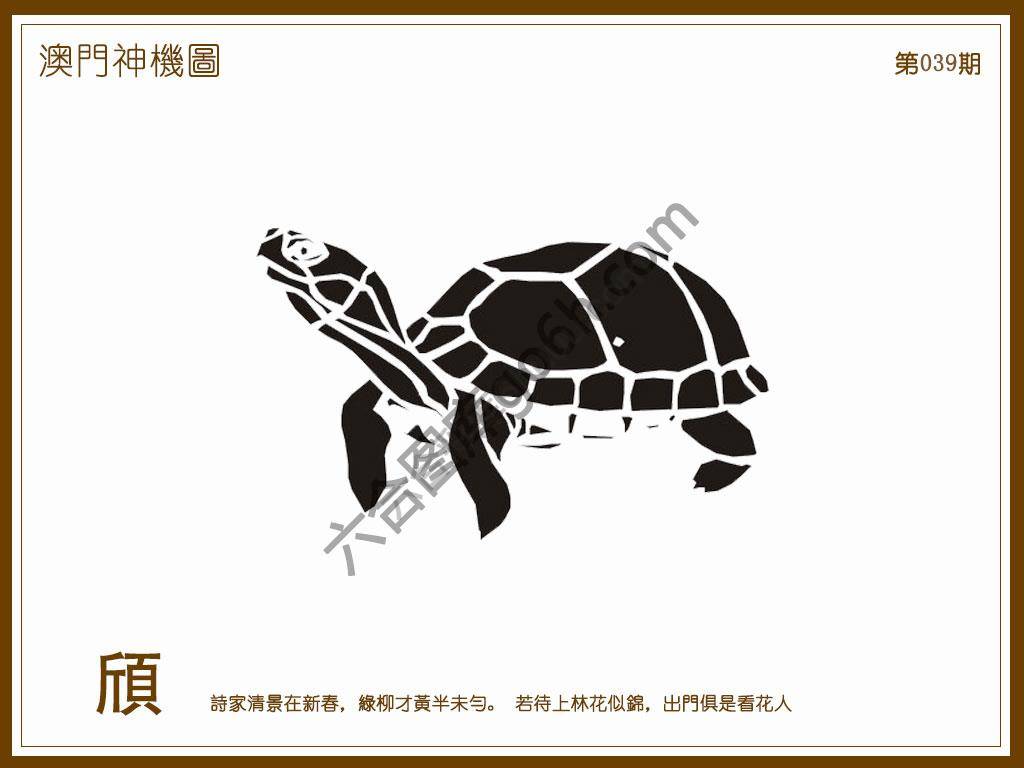 澳门神机图