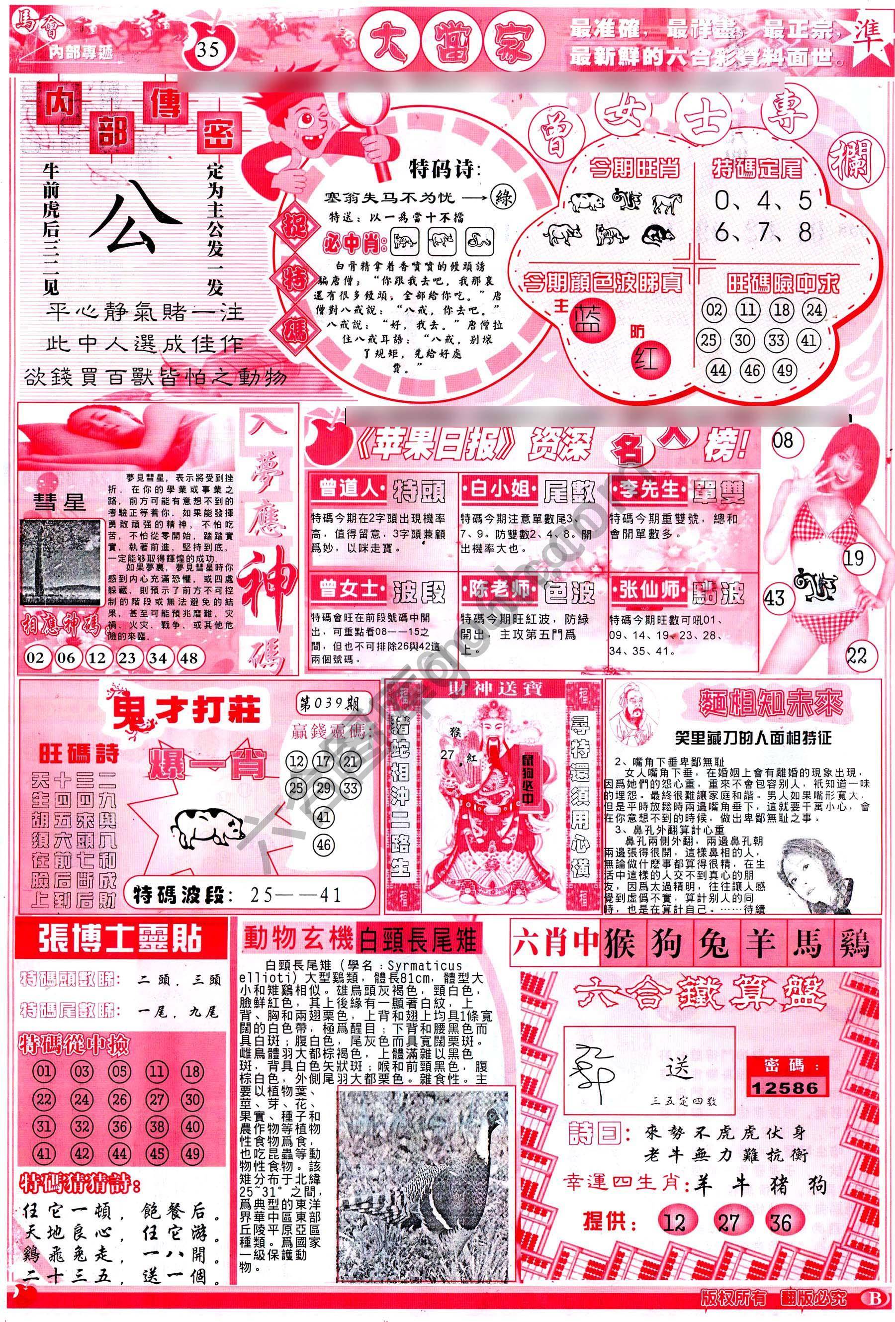 大当家