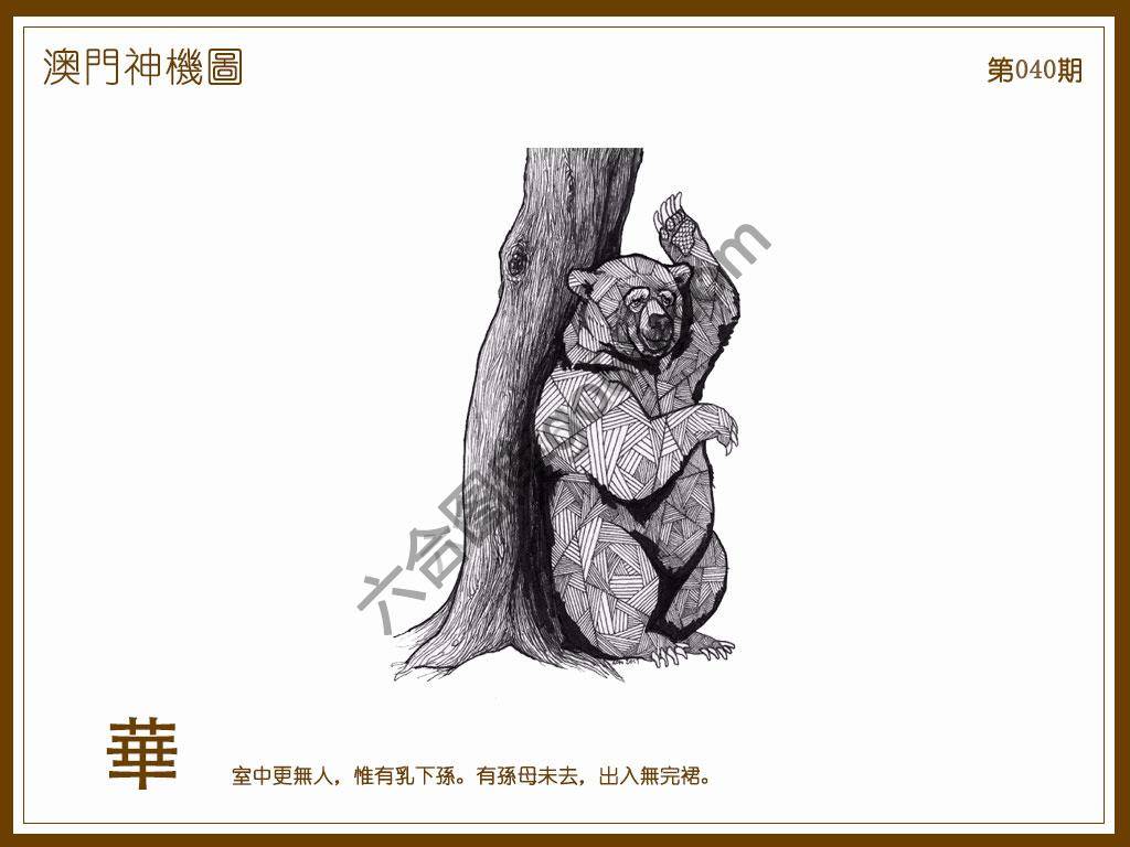 澳门神机图
