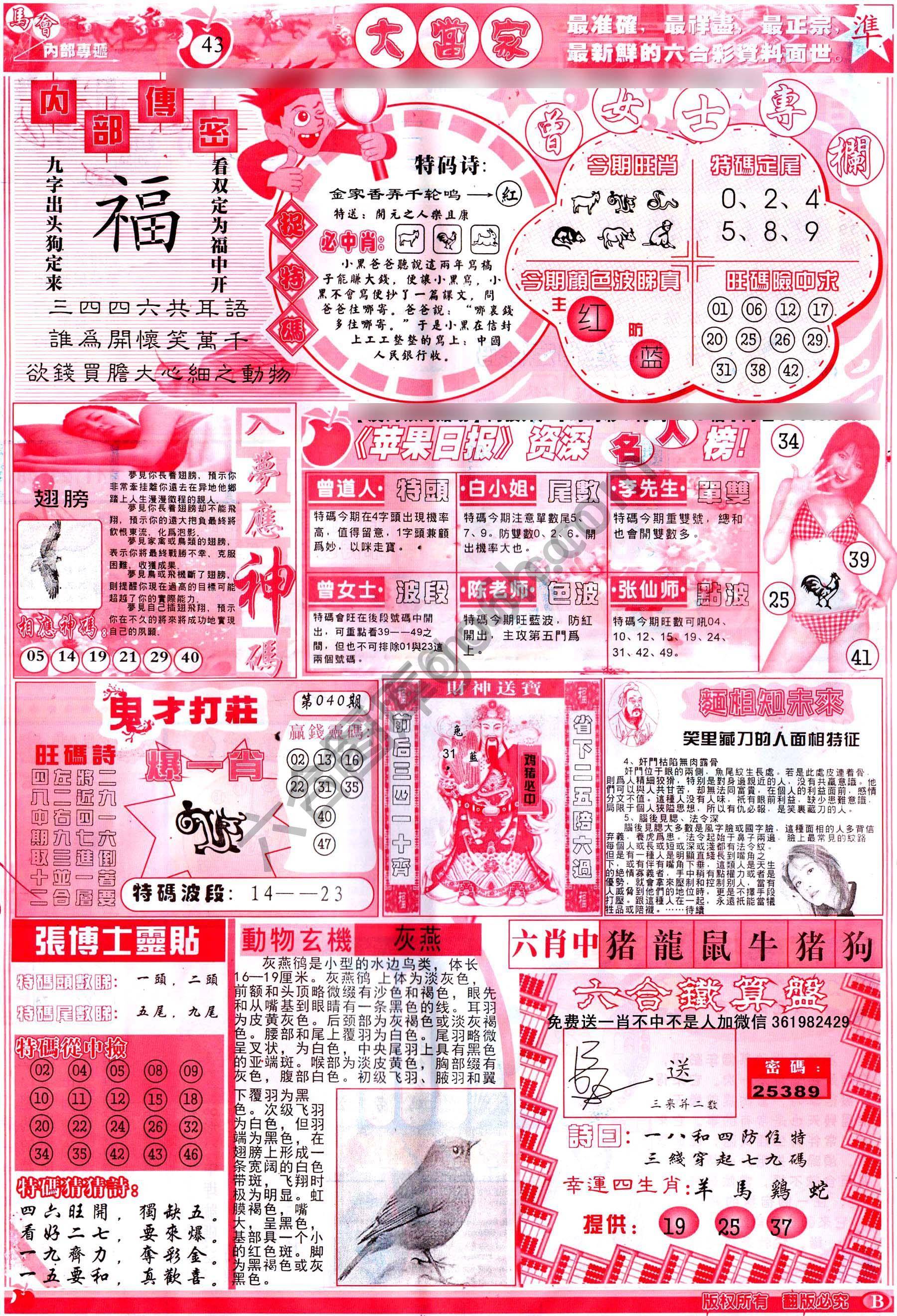 大当家