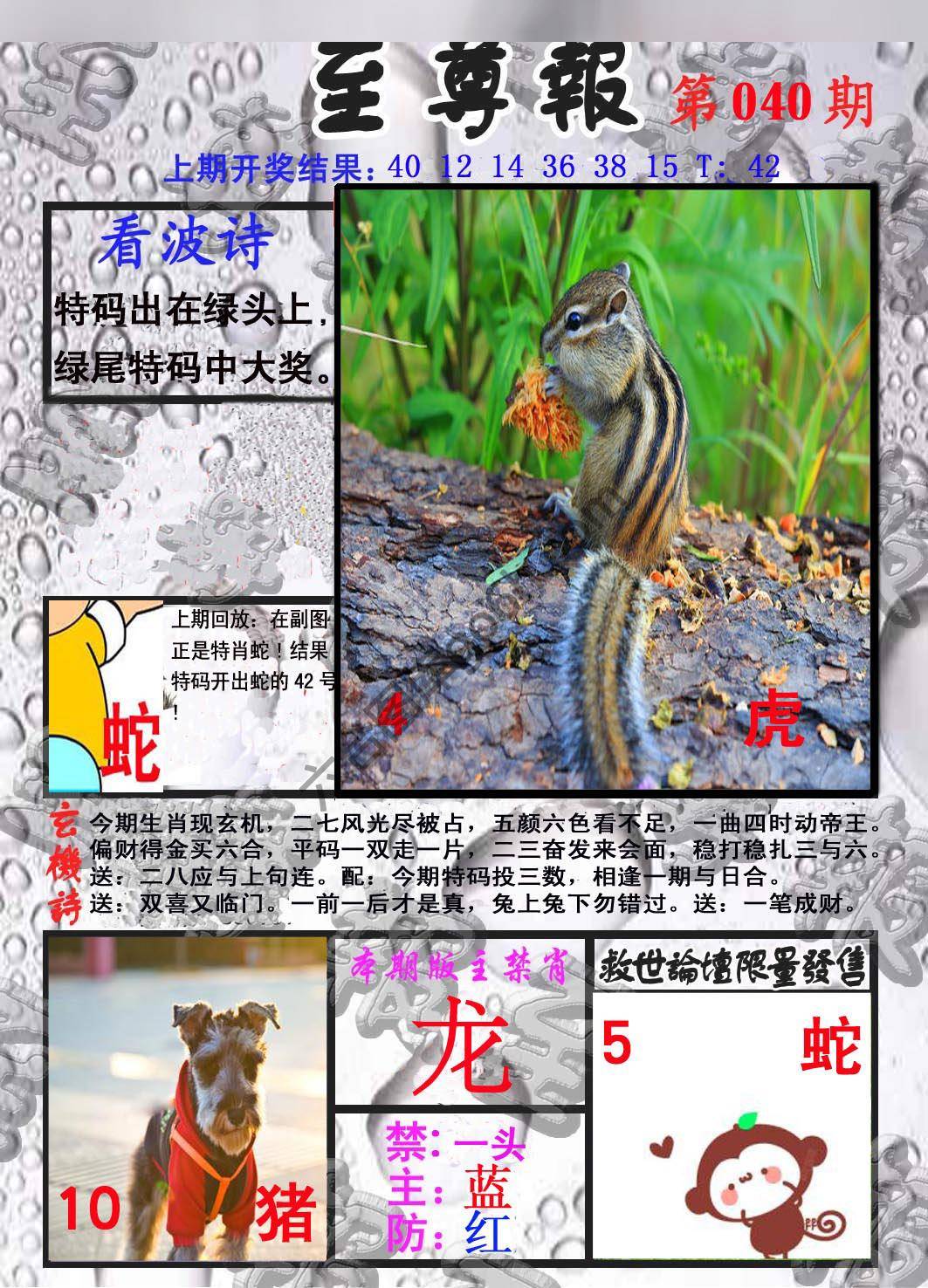 至尊报