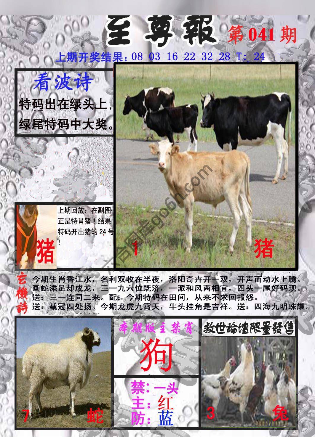至尊报
