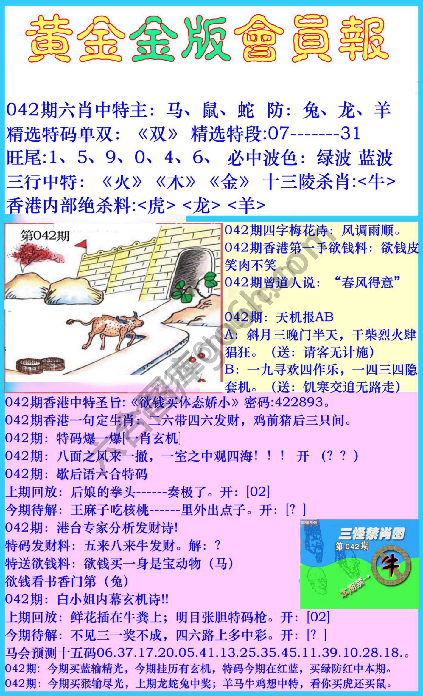 黄金金版会员报
