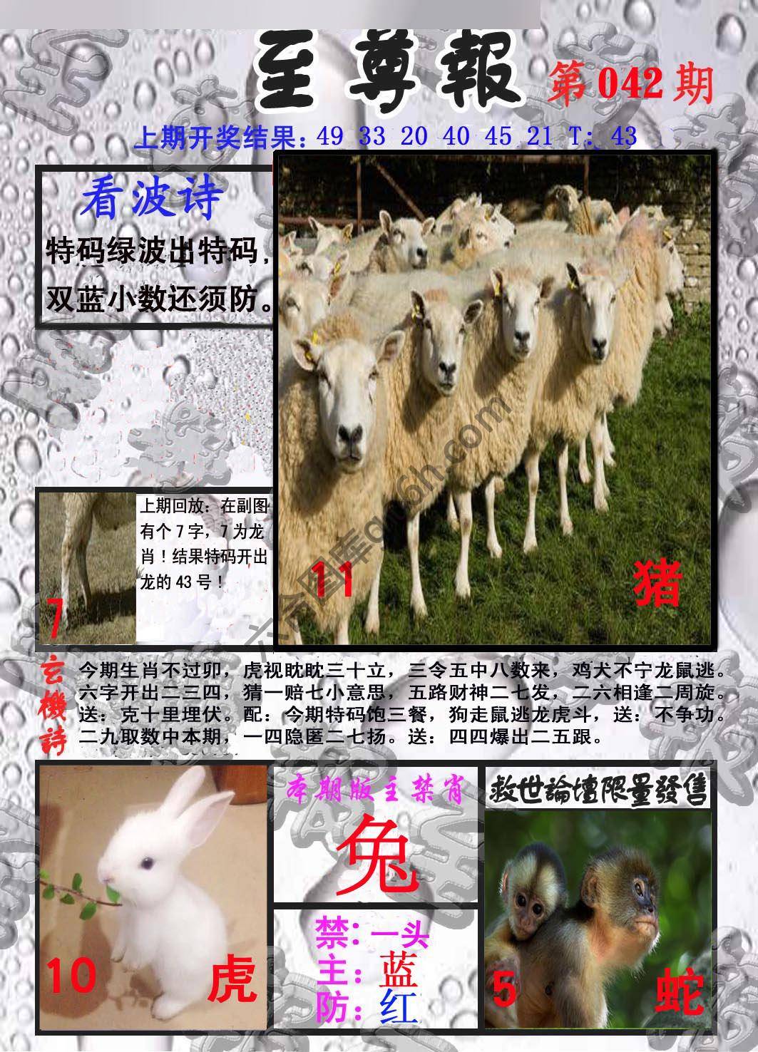 至尊报