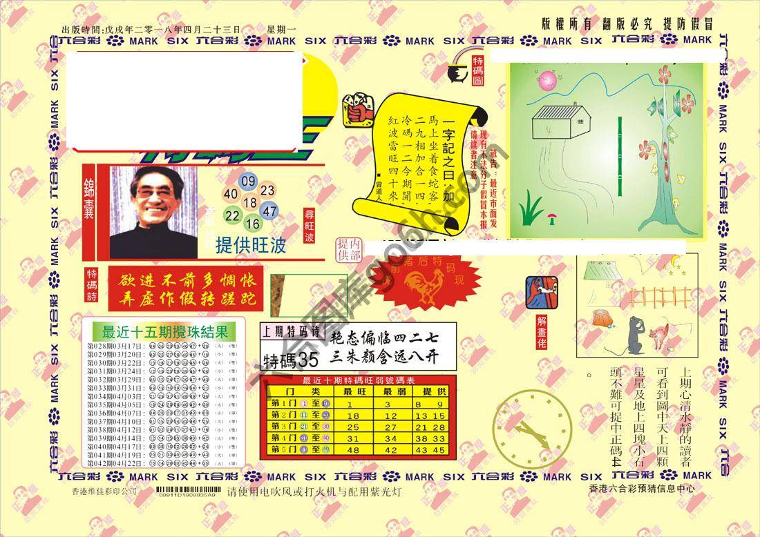 特码王