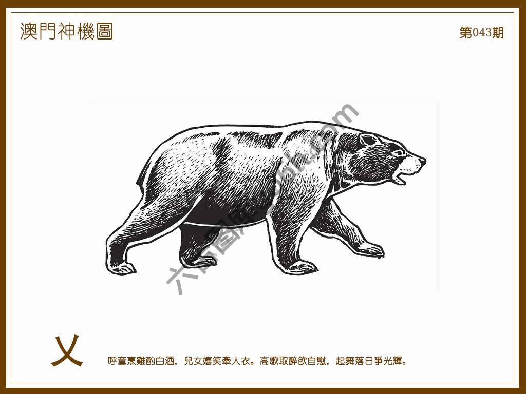 澳门神机图