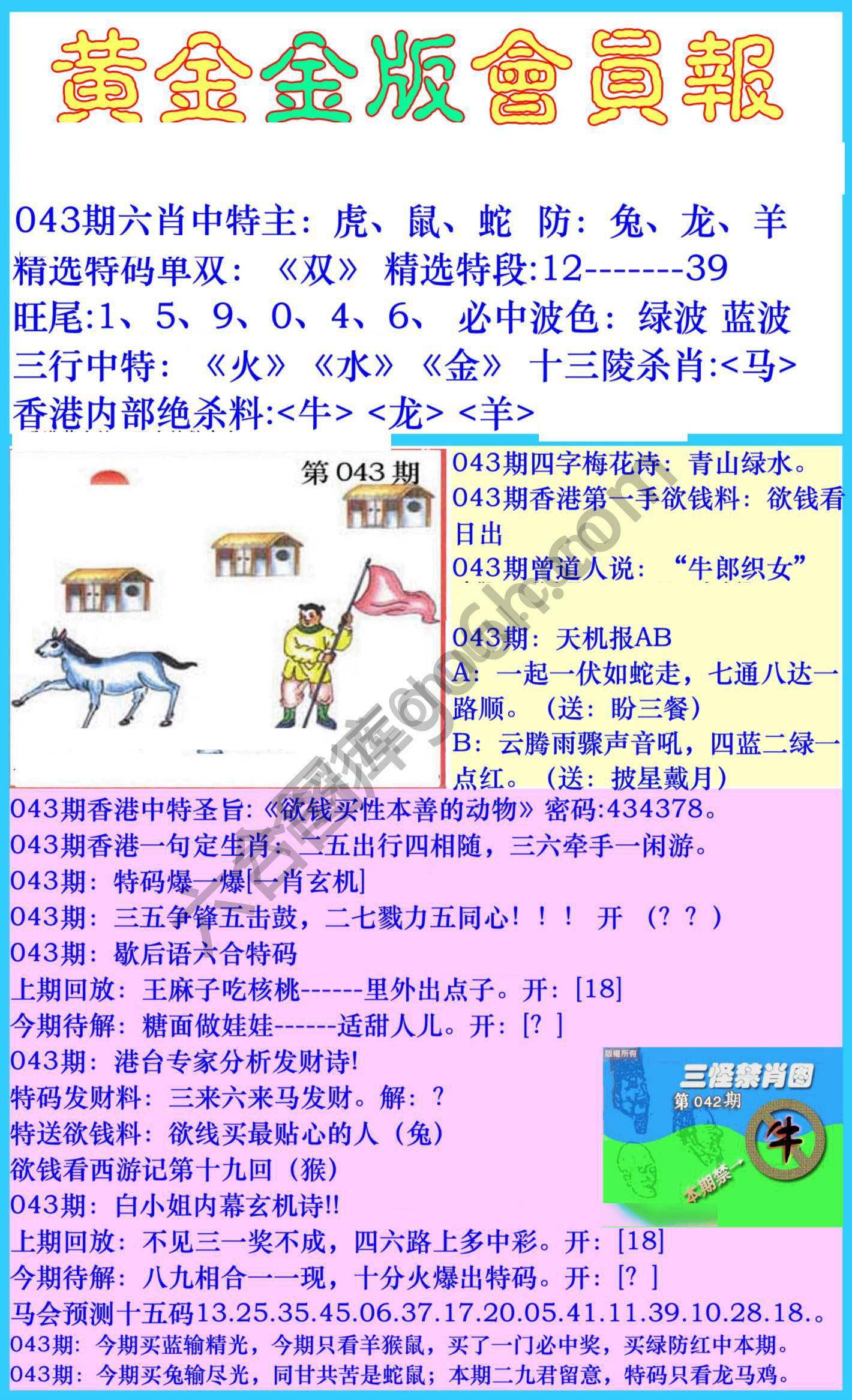 黄金金版会员报