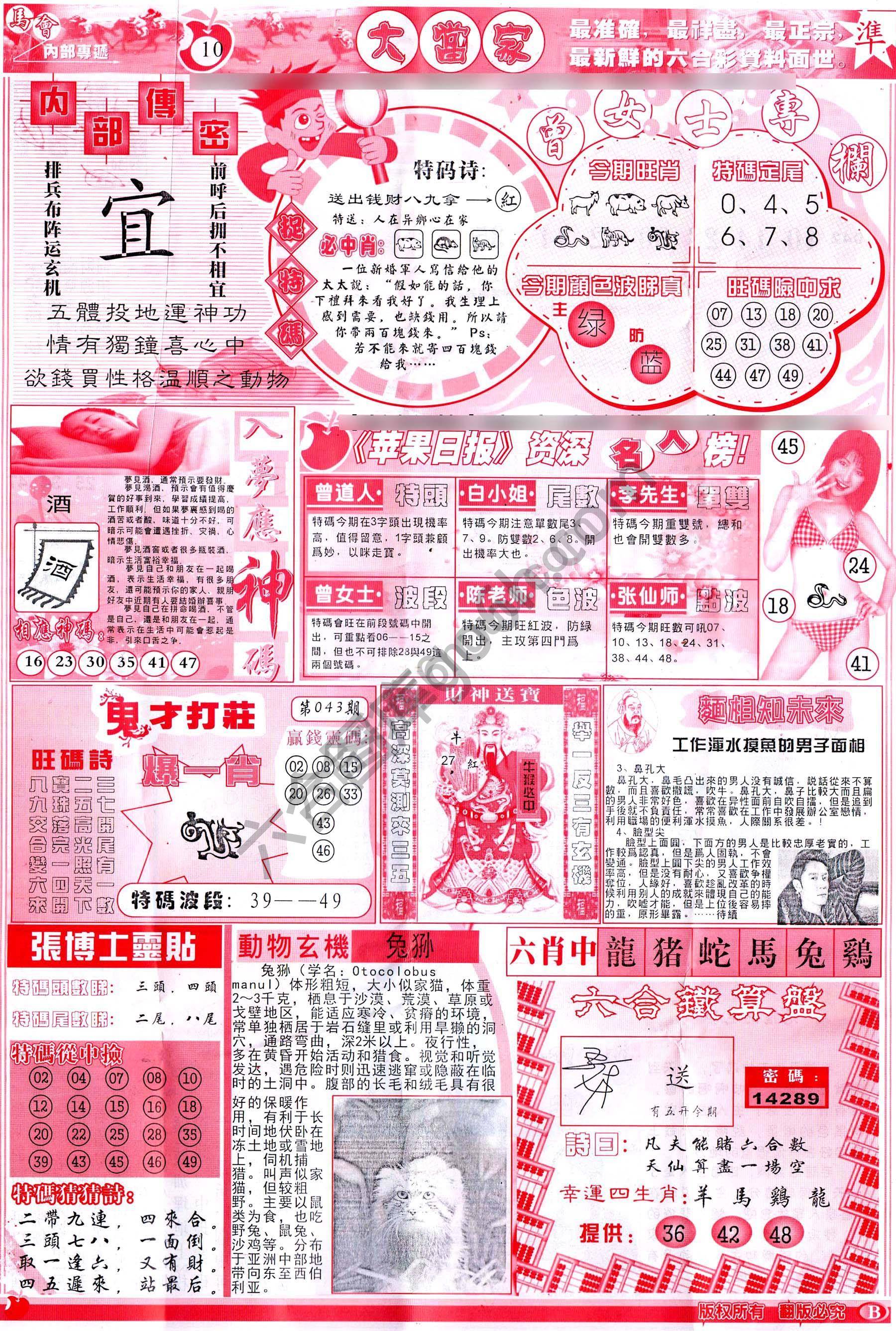 大当家