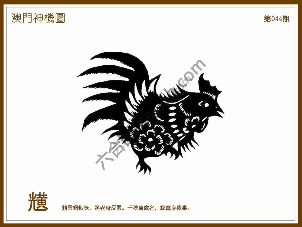 澳门神机图