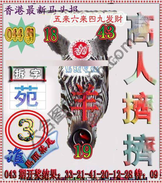 香港马头报