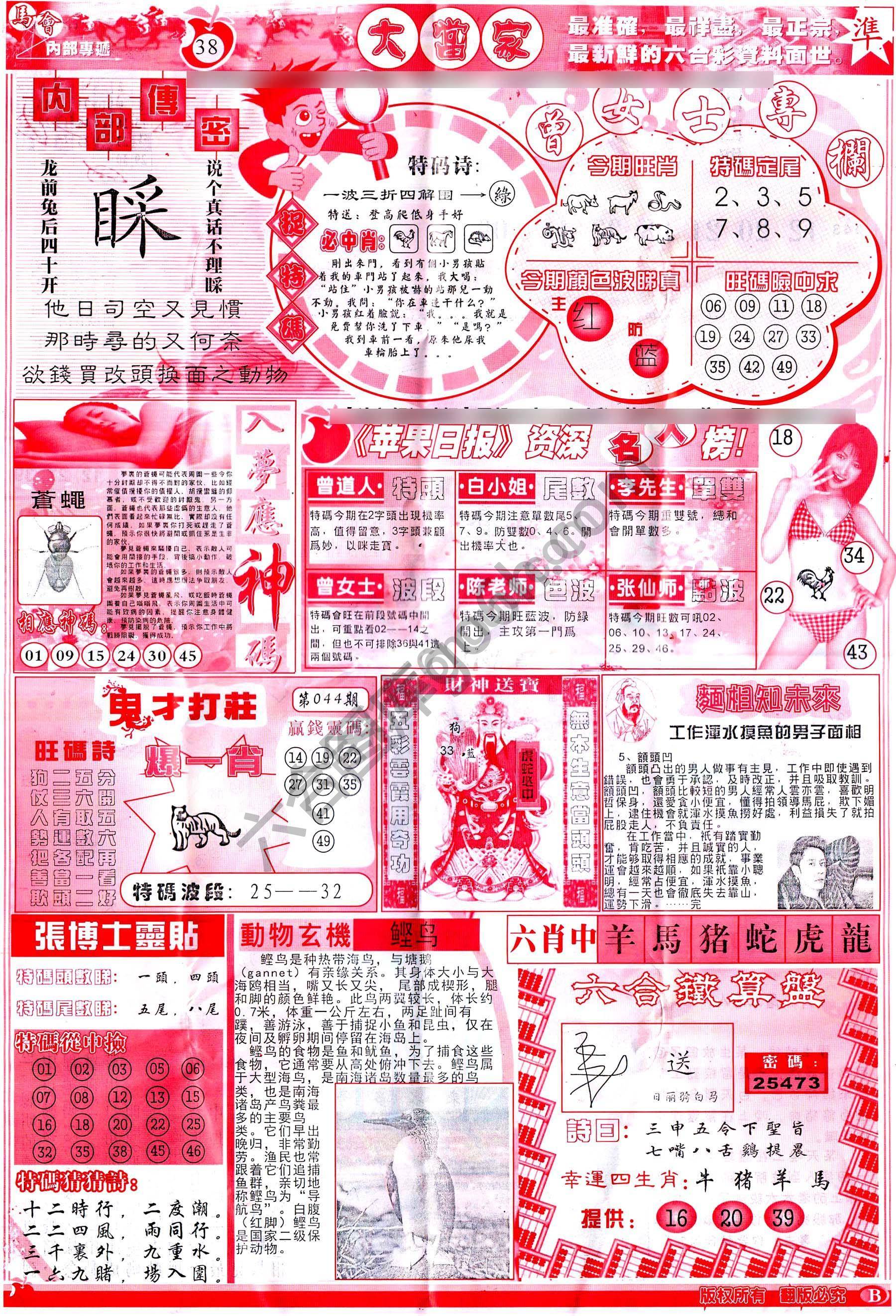 大当家