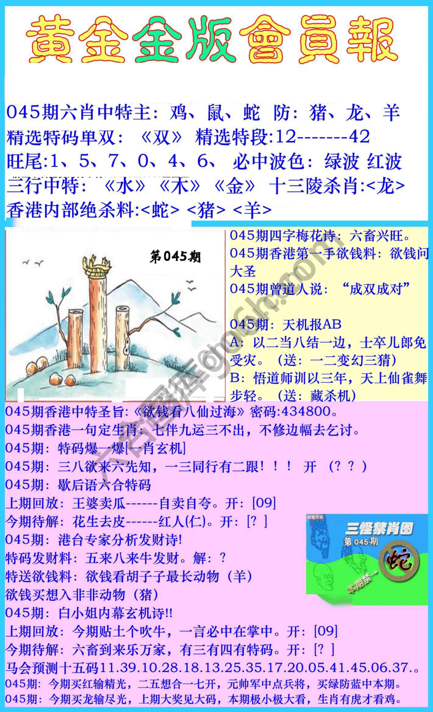 黄金金版会员报