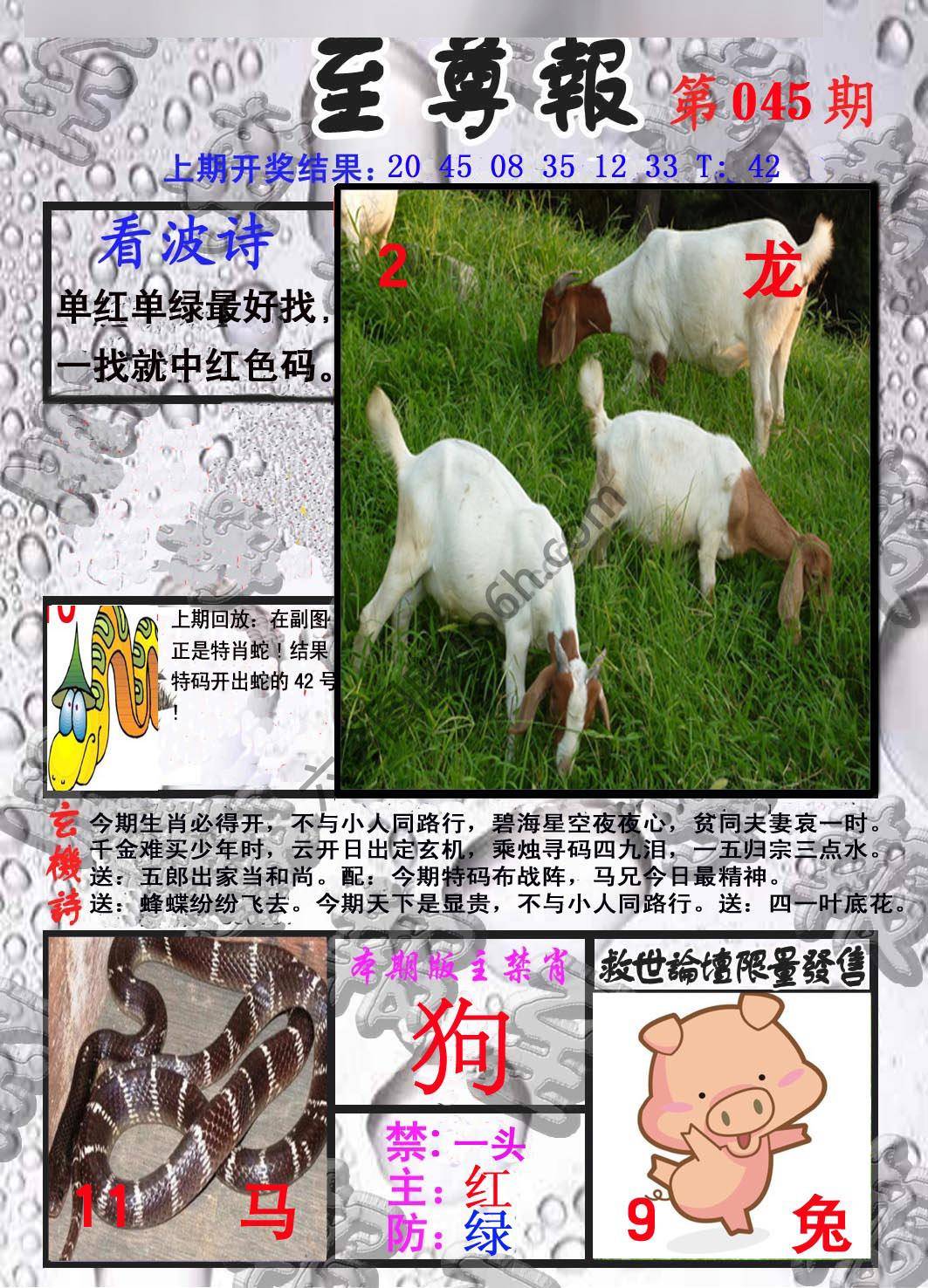 至尊报