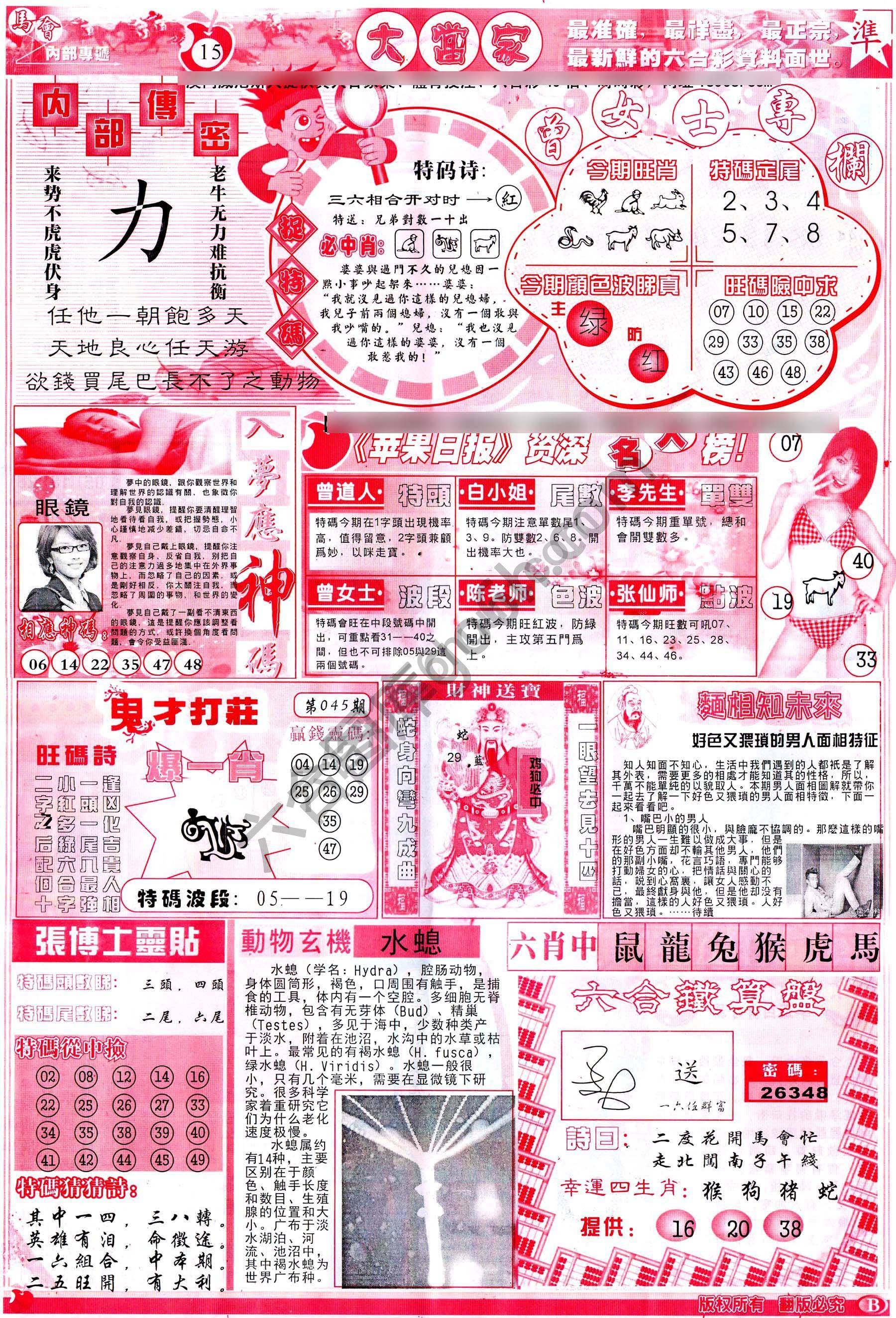 大当家