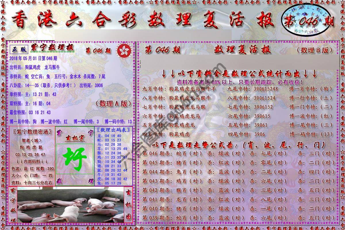 数理复活报