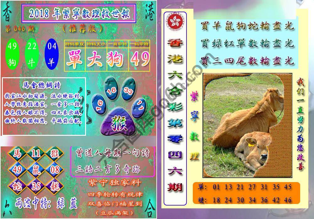 数理救世报