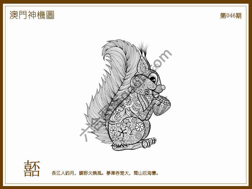 澳门神机图