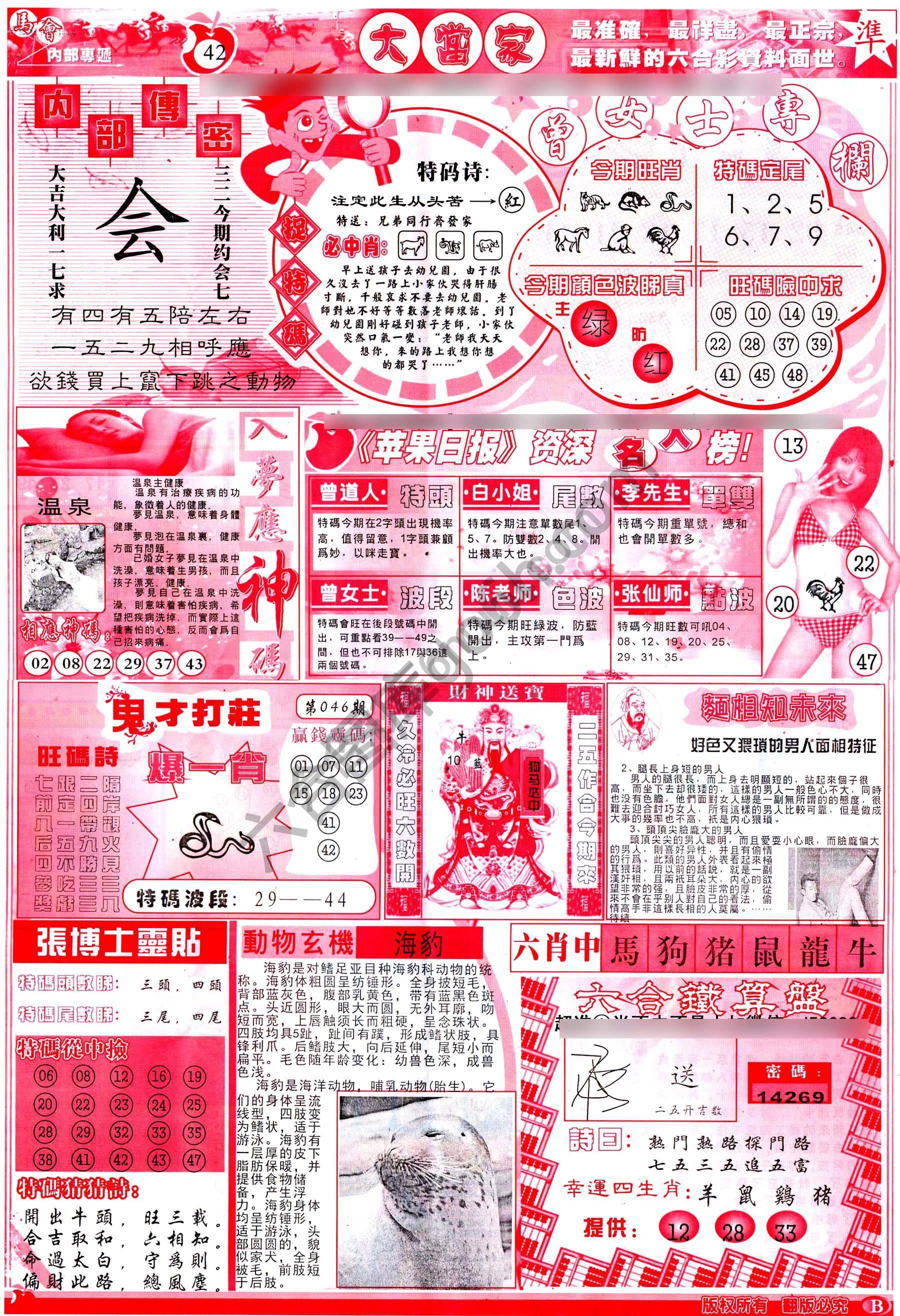 大当家