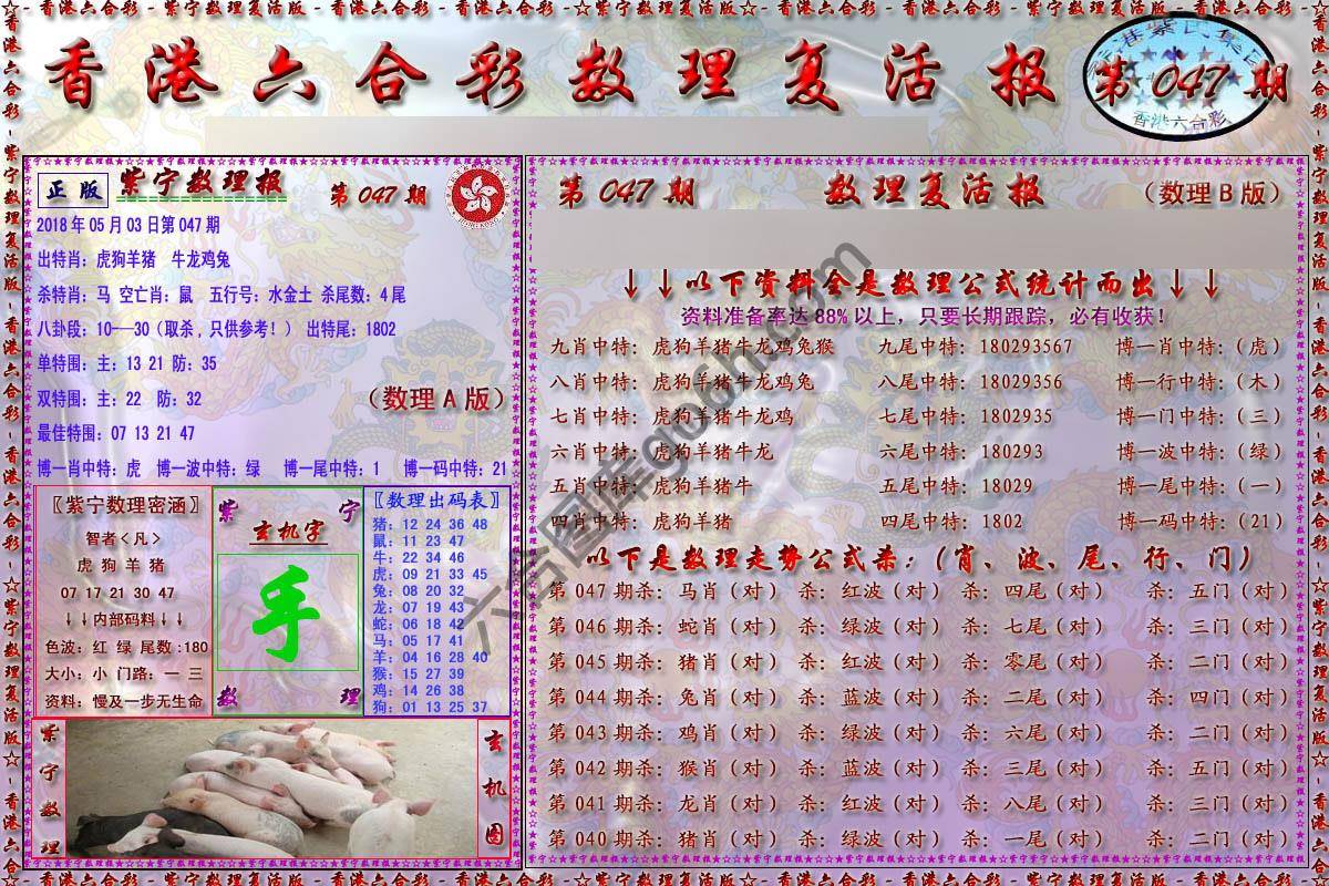 数理复活报