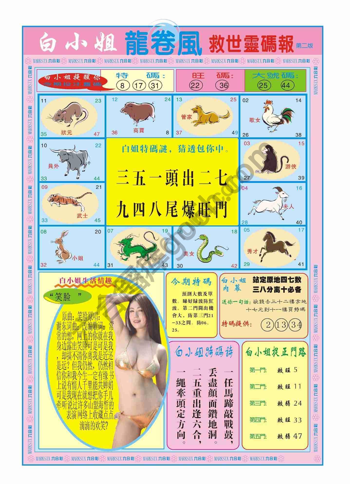 白小姐救世灵码报