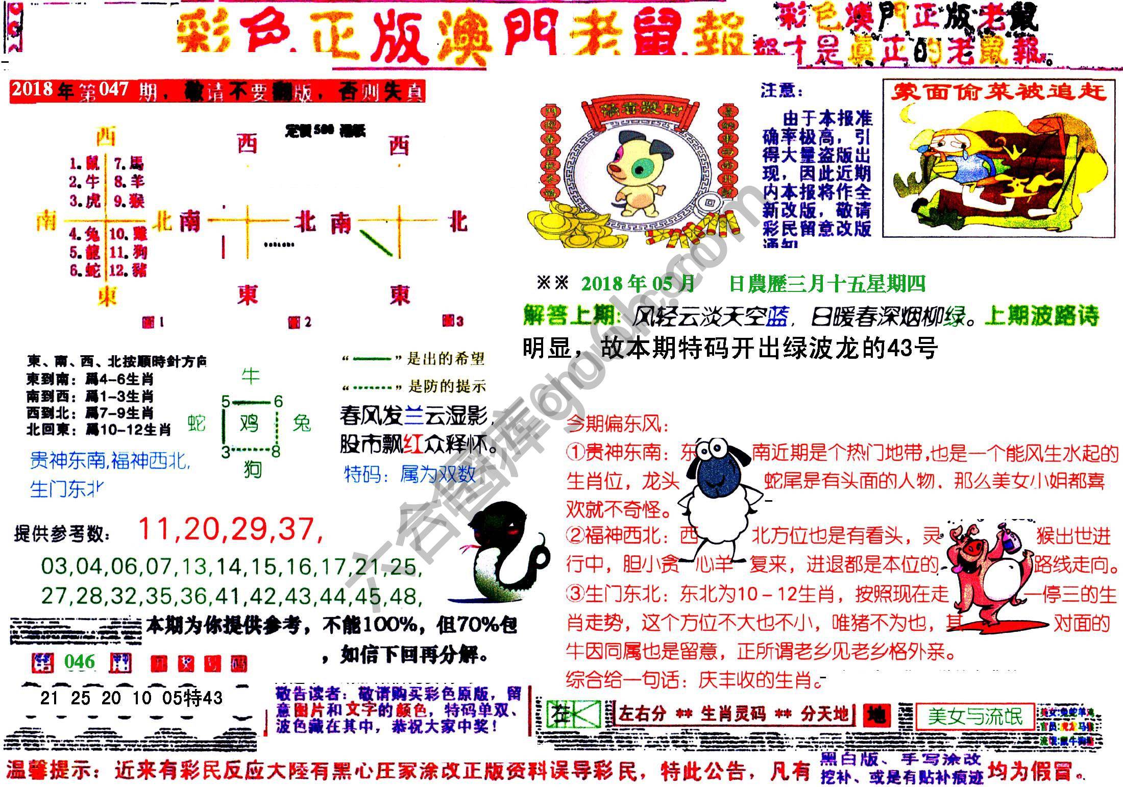 澳门老鼠报