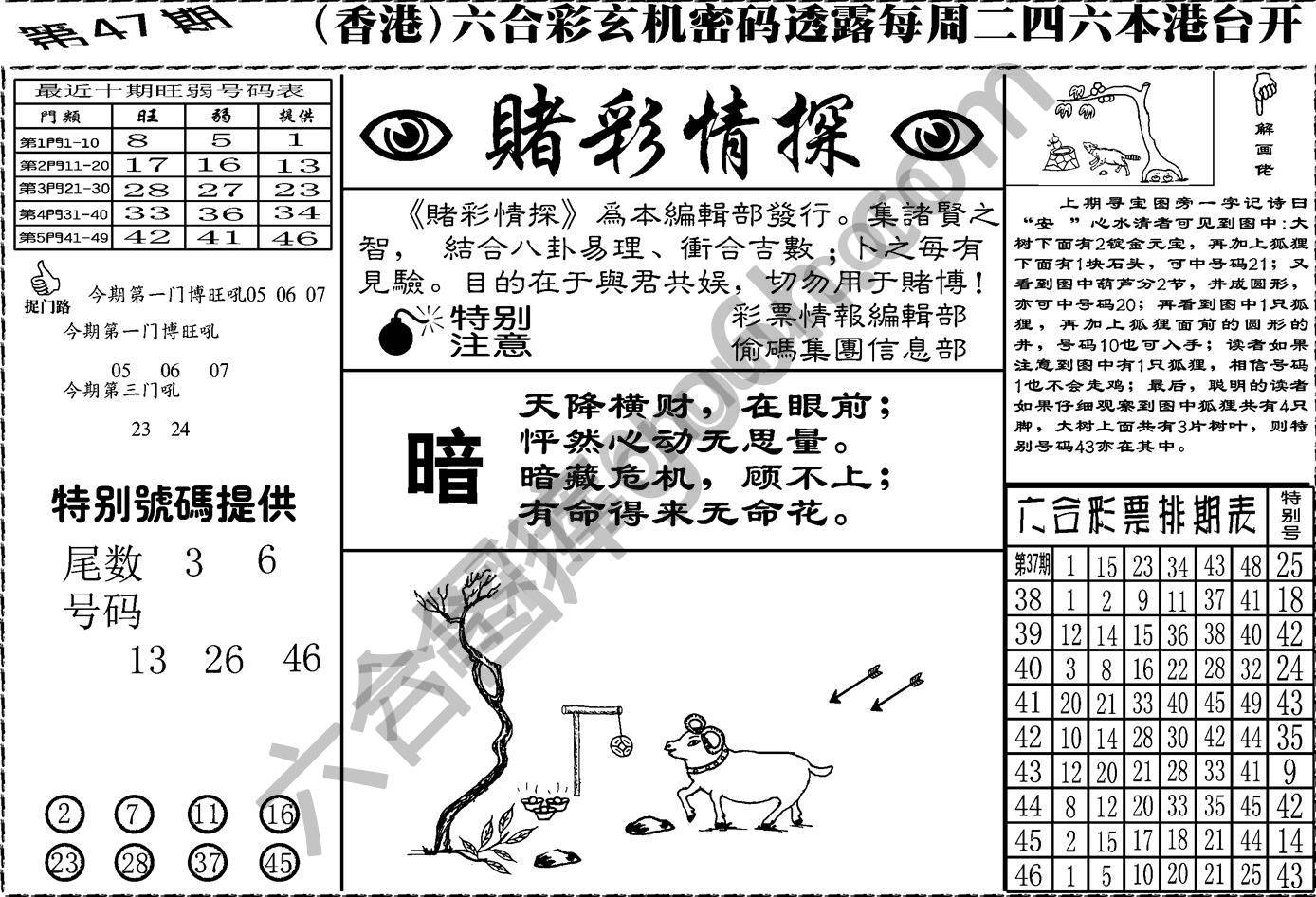 赌彩情探