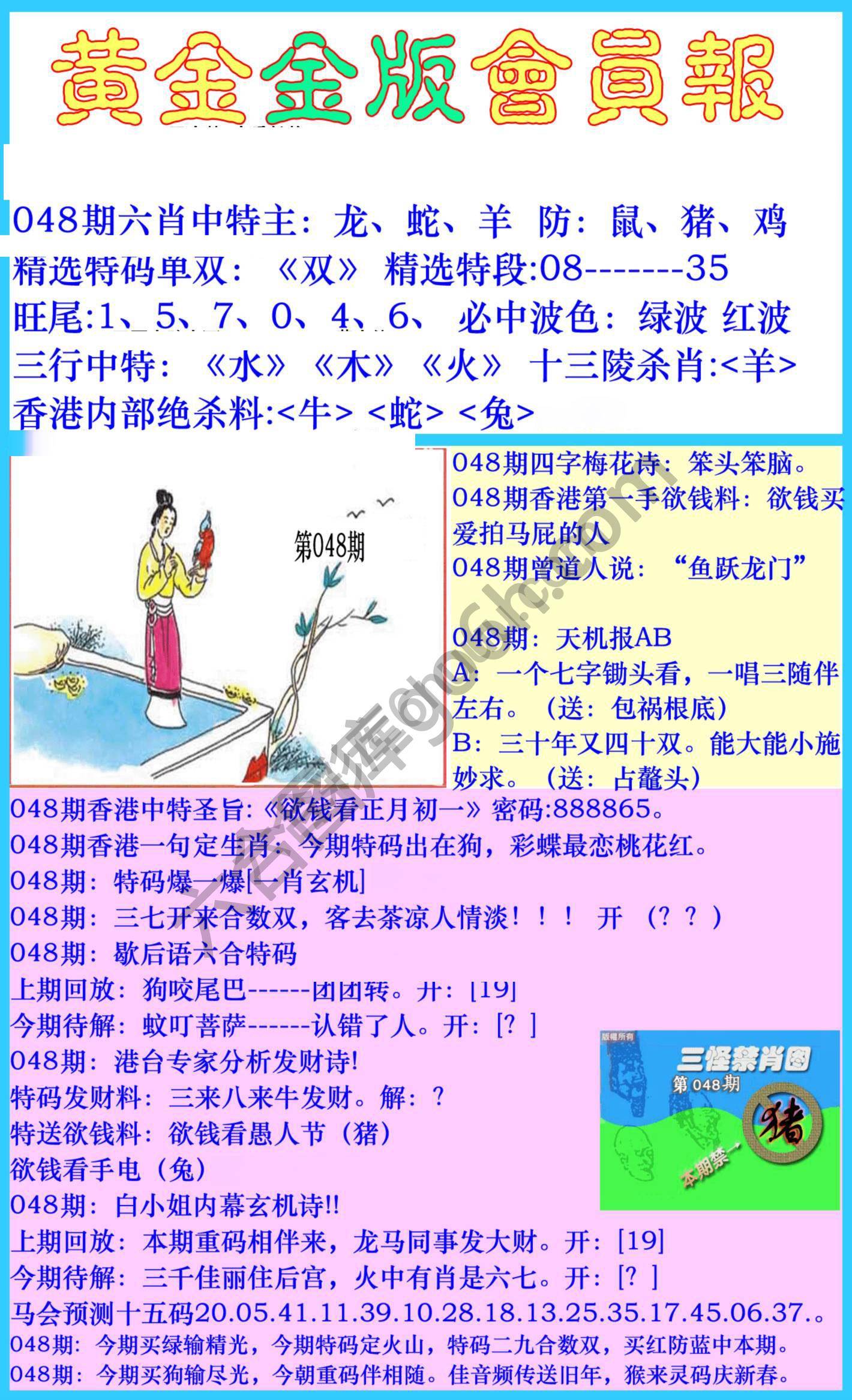 黄金金版会员报