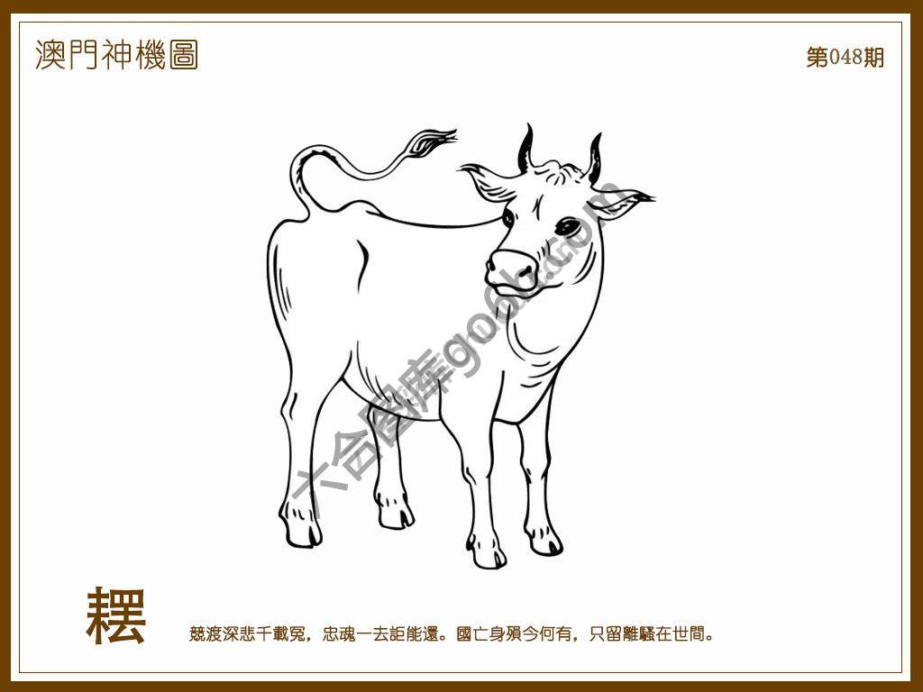 澳门神机图