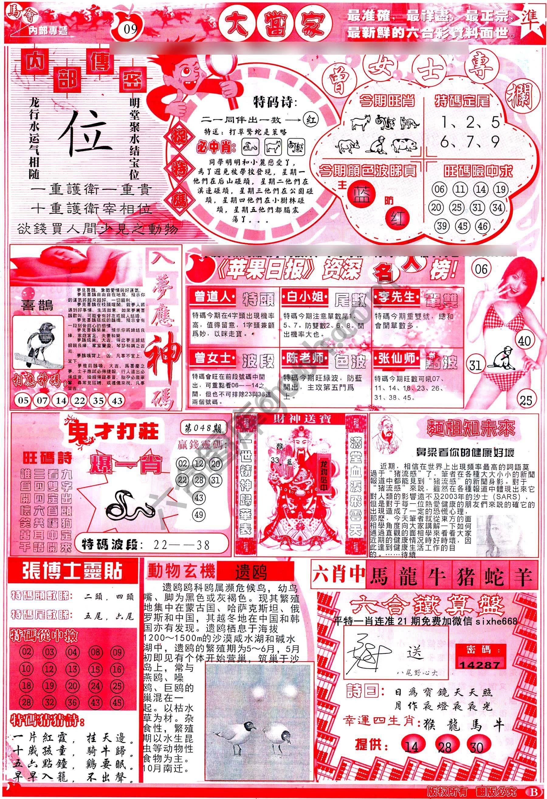 大当家