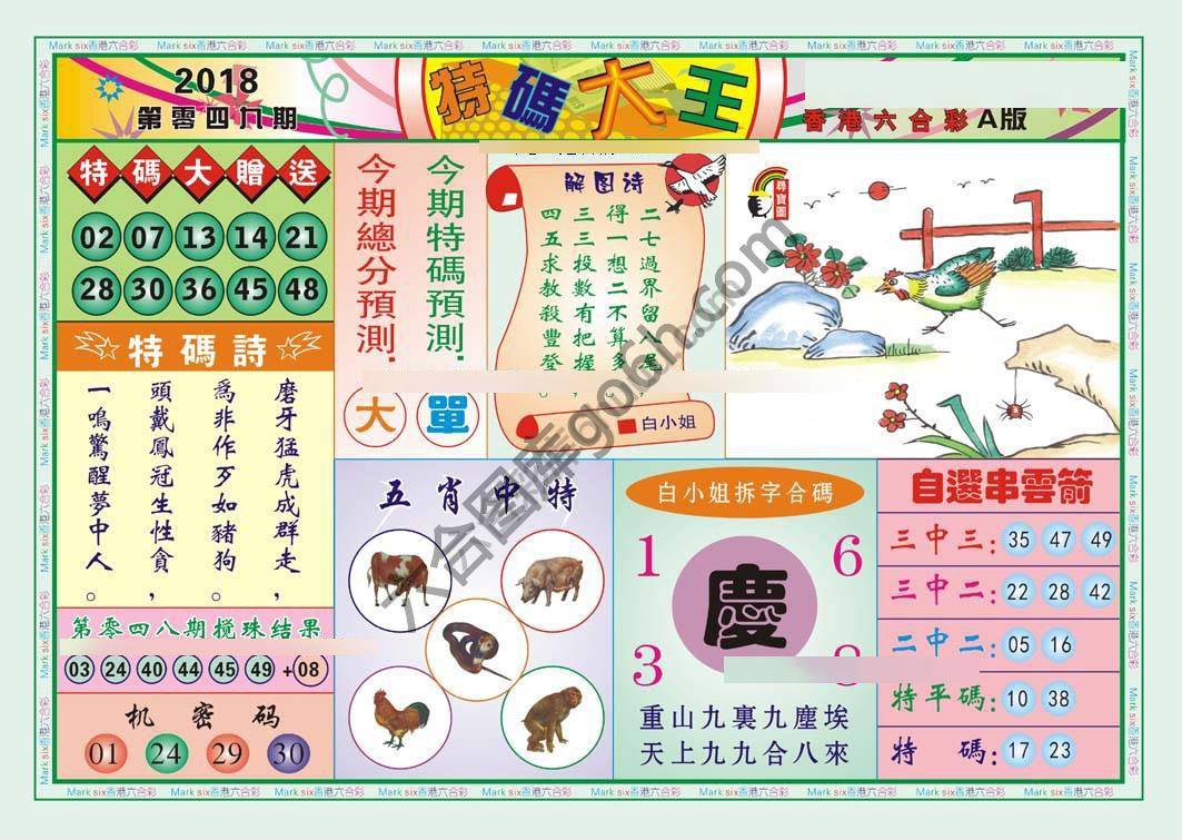 特码大王