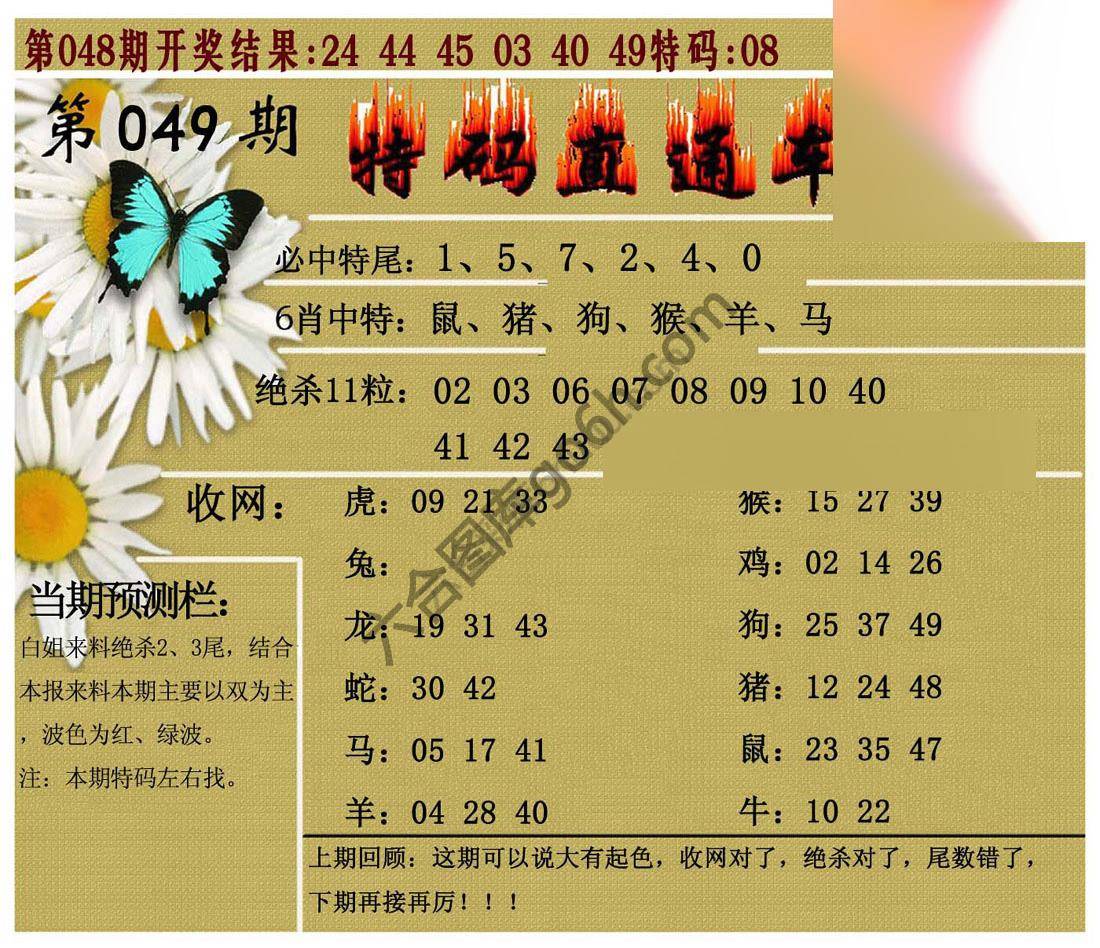 特码直通车