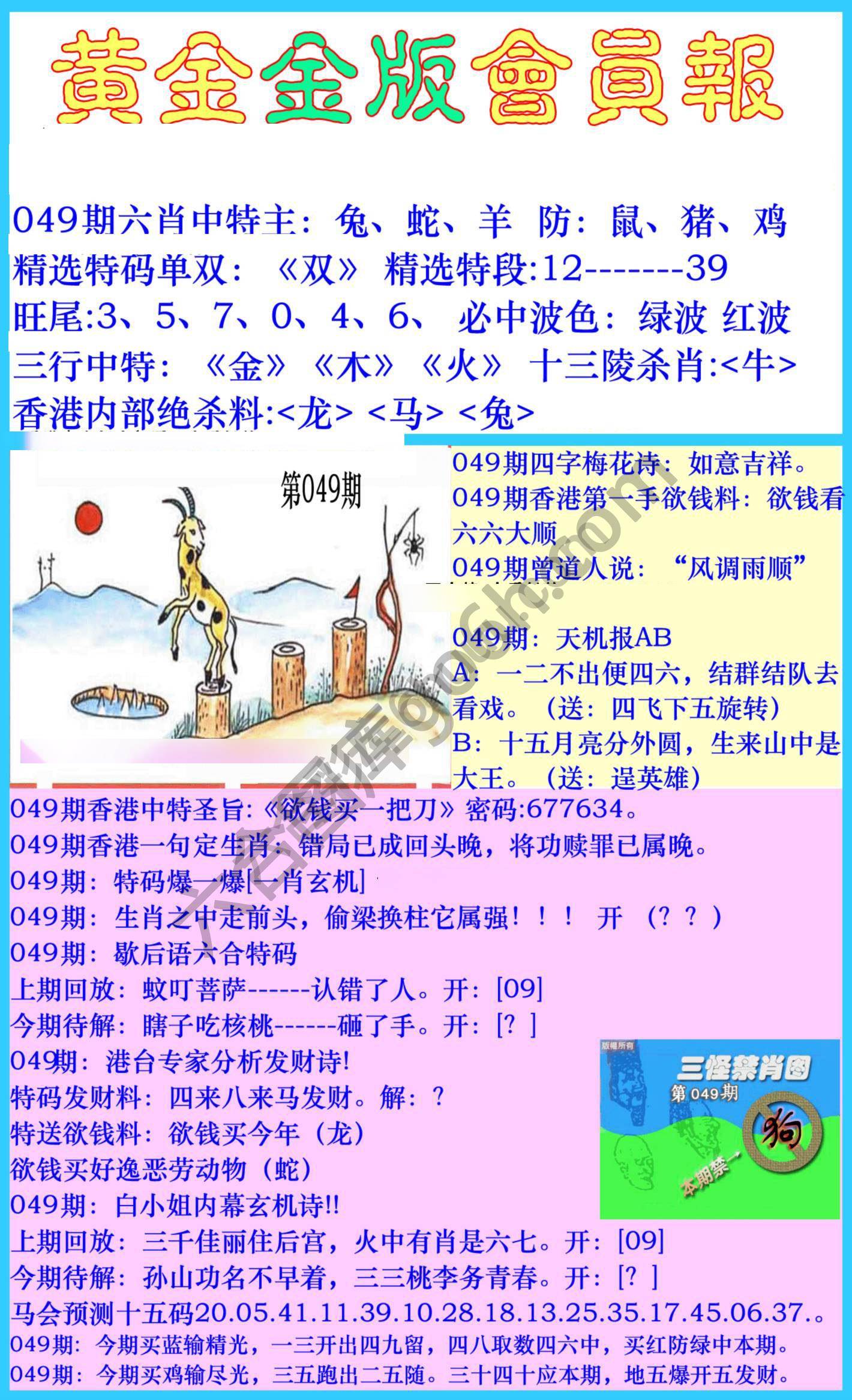 黄金金版会员报