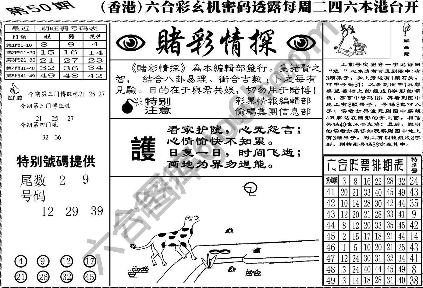 赌彩情探