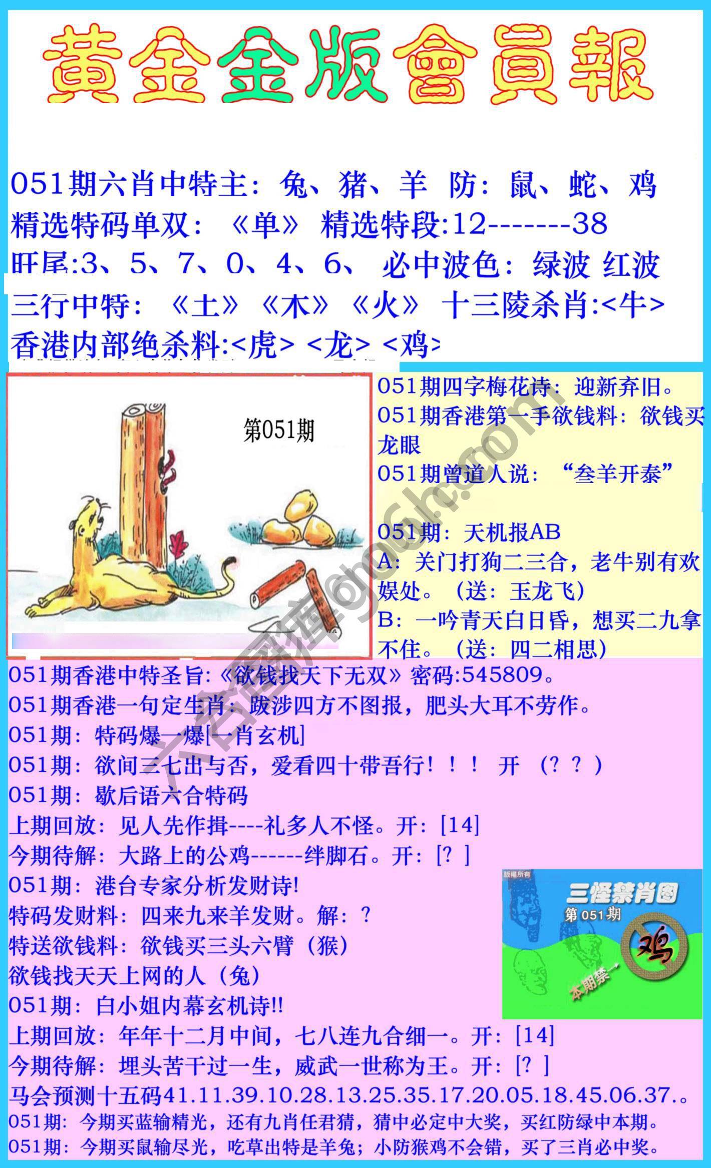 黄金金版会员报