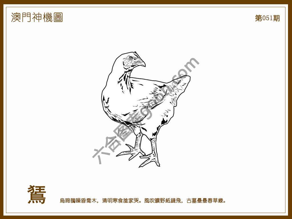 澳门神机图