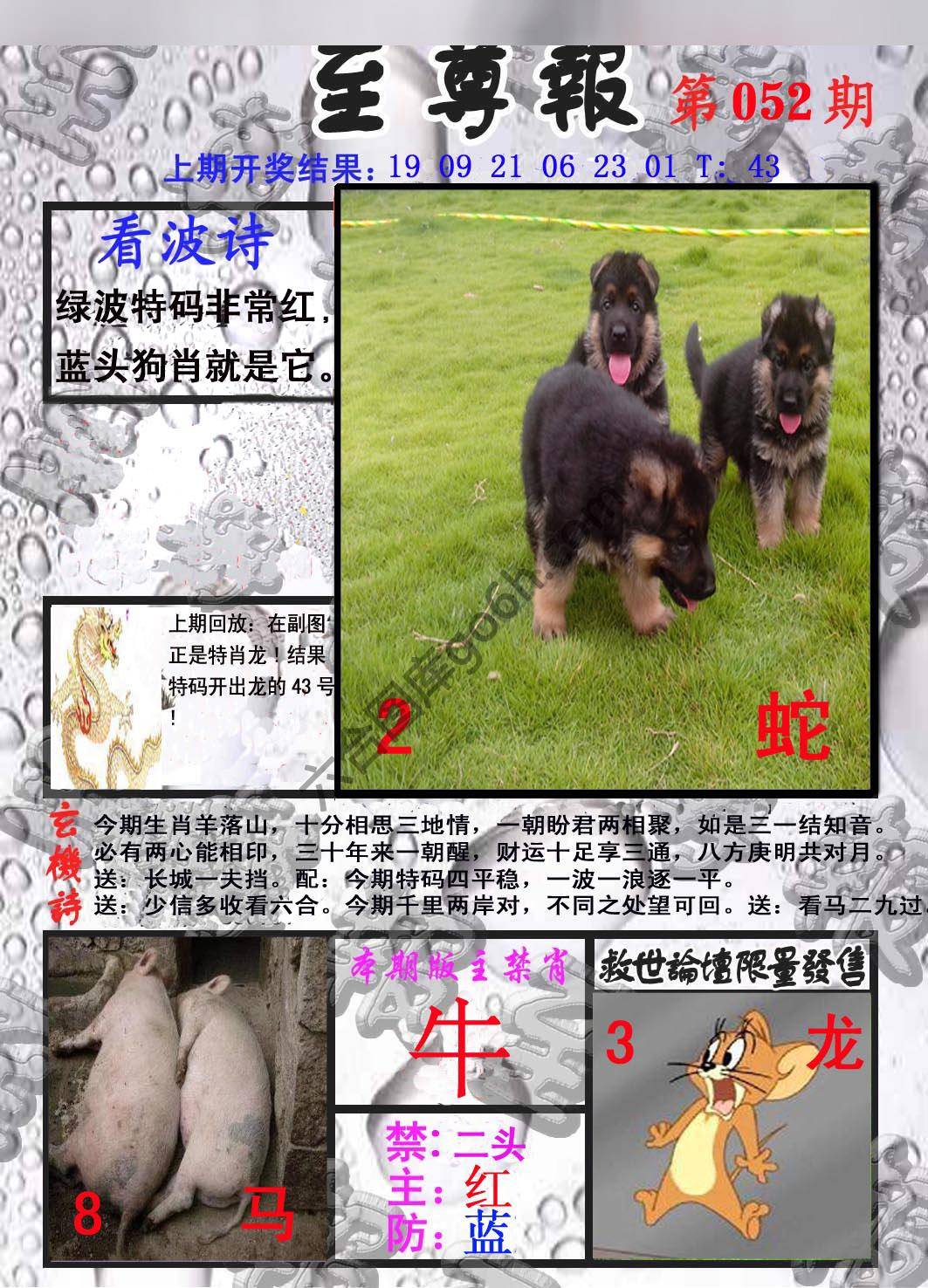 至尊报