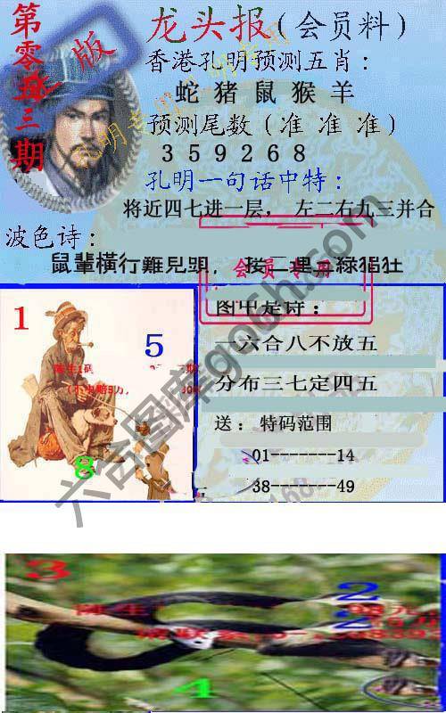 龙头报