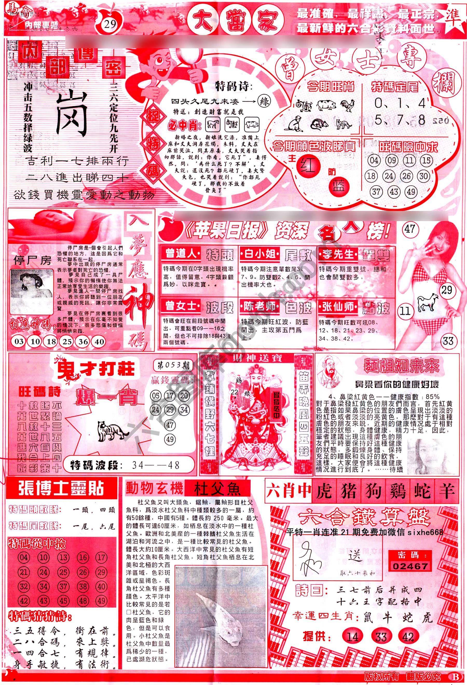 大当家