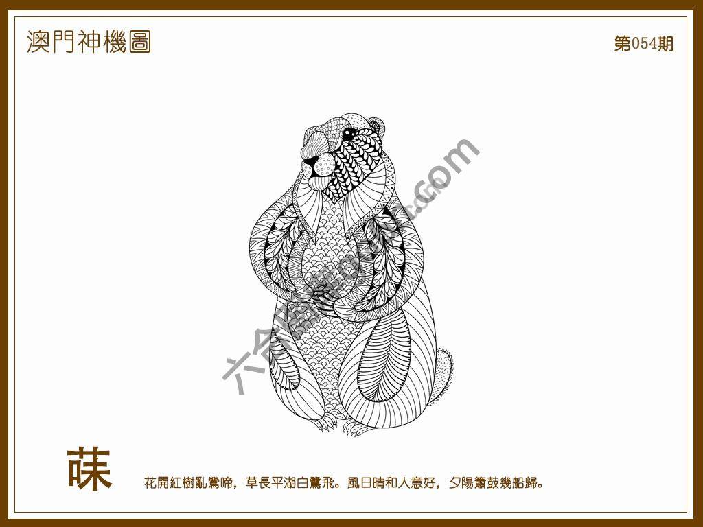 澳门神机图
