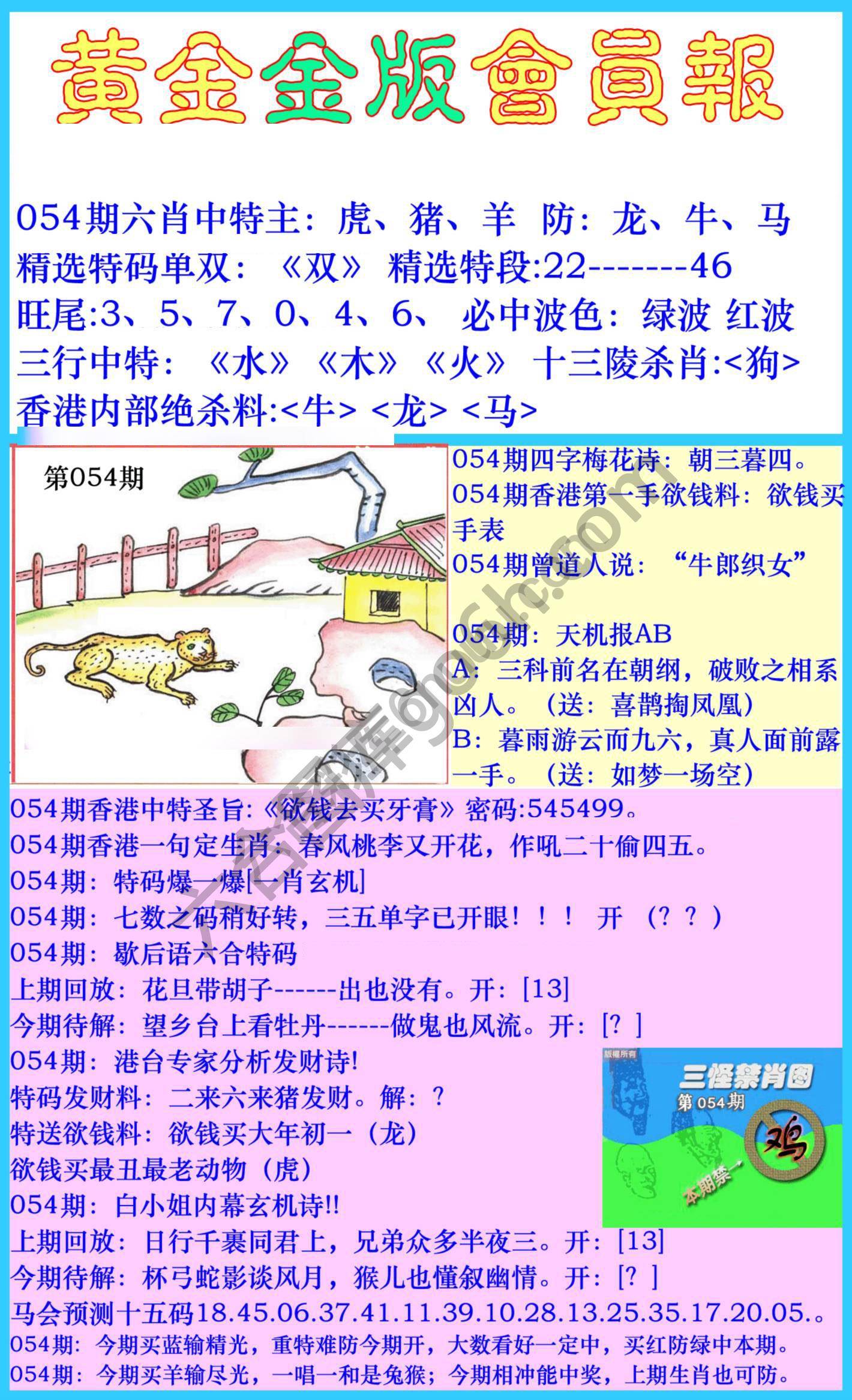 黄金金版会员报